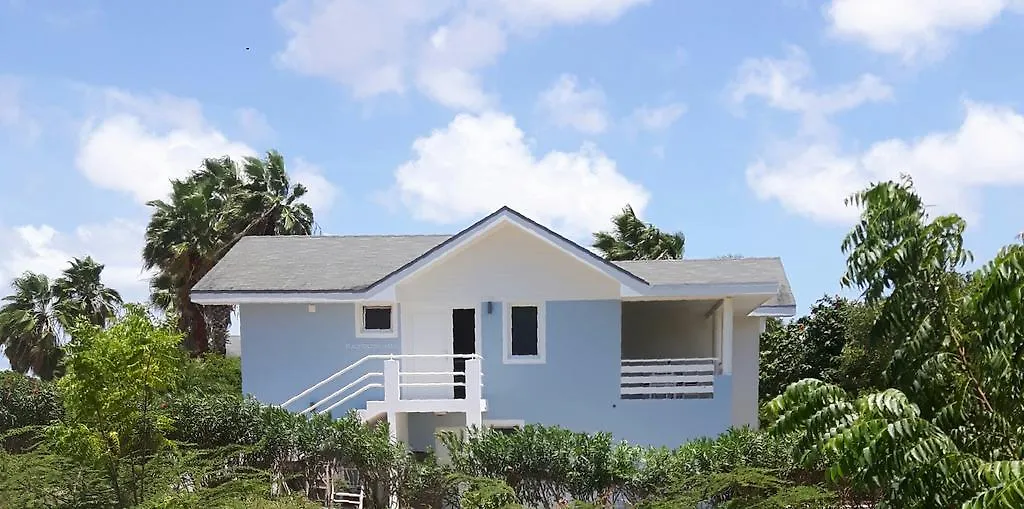 הקונטקטים של Beach Culture House